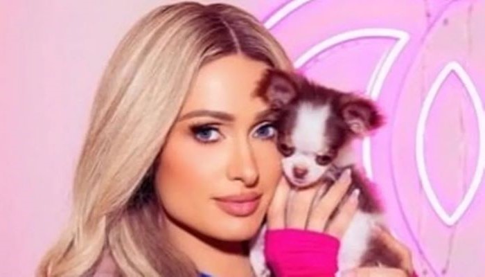 Paris Hilton Reveals Her New Teacup Puppy's Royal Name