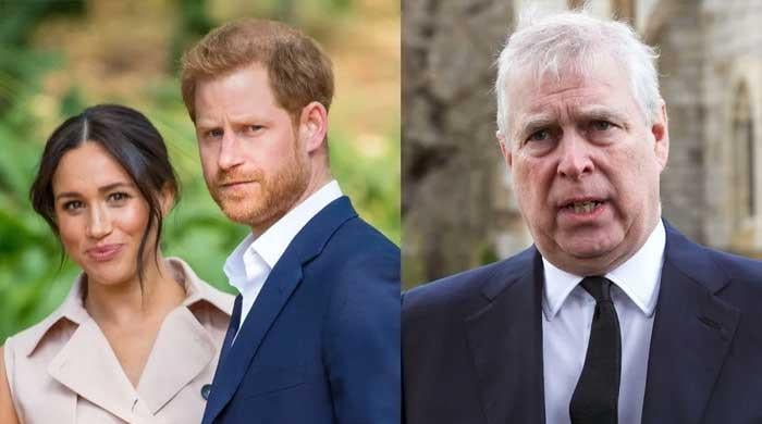 Royal Family Shames Prince Andrew, Praises Meghan And Harry