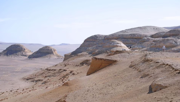 The remote coastal desert in southern Peru where the fossils of Perucetus colossus, a huge early whale that lived about 38-40 million years ago, were excavated is seen in this undated photograph. — Reuters