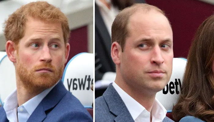 Prince Harry is ‘mining’ Prince William’s childhood wounds for content