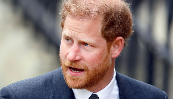 Prince Harry has ‘entertainment industry BO’ needing to be ridden