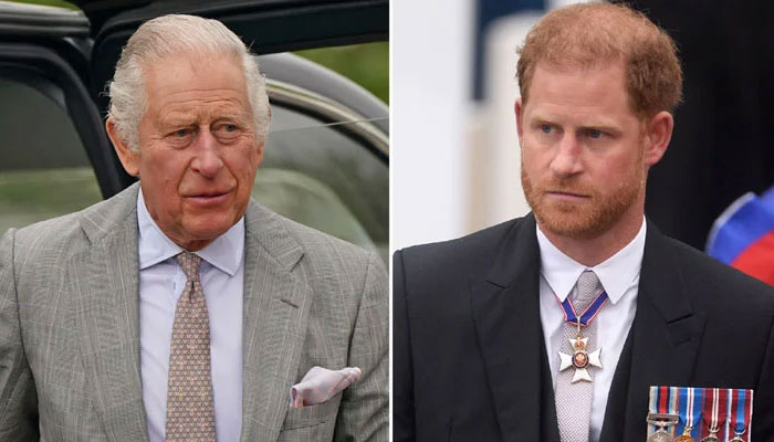 King Charles is a ‘petty monarch’ to Prince Harry