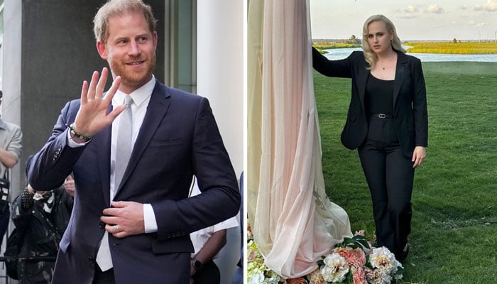 Rebel Wilson showers love on Prince Harry