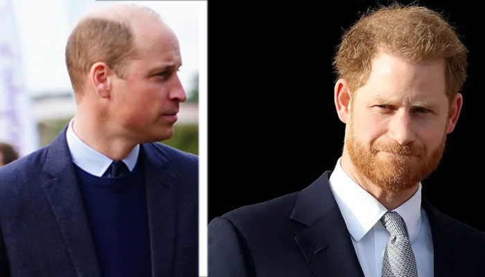 Prince Harry suffering through ‘mixed bag of emotions’ due to ‘bully’ Prince William