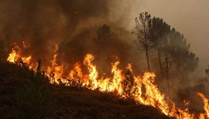Urgent evacuations ordered as wildfire threatens Athol, Idaho