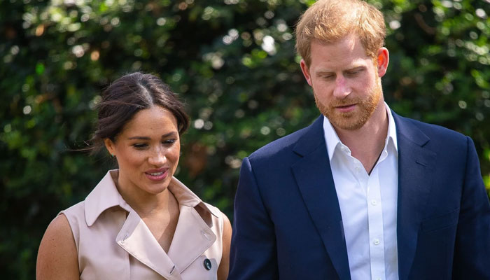 Prince Harry, Meghan have 'burnt bridges' with 'Napolean-worthy' earth ...