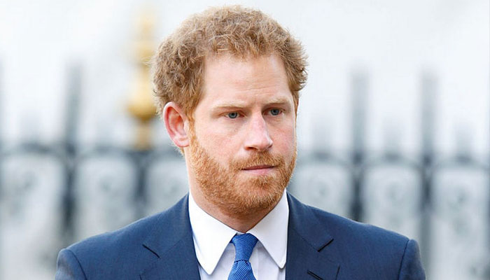 Prince Harry ‘not royal nor content creator: ‘What does he even do?’