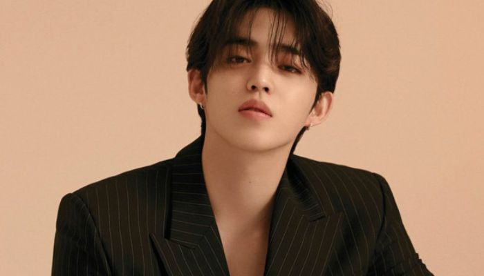 Seventeen’s S.Coups to halt activities to get surgery for torn ACL