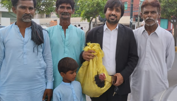 Young boy Ayan looks at his pet chicken that he handed over to the lawyer as fees. — Picture by Shahid Hussain