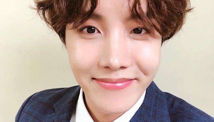 Ducktan makes a comeback! This time as part of BTS member J-Hope's