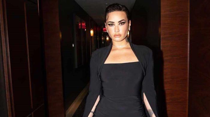 Demi Lovato Playfully Nods To Viral Poot Lovato Meme On 31st Birthday