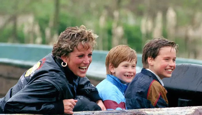 What Princess Diana told her sons over last phone call on night of death