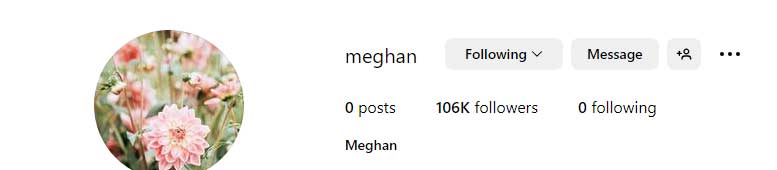 Meghan Markles Instagram account hits new milestone