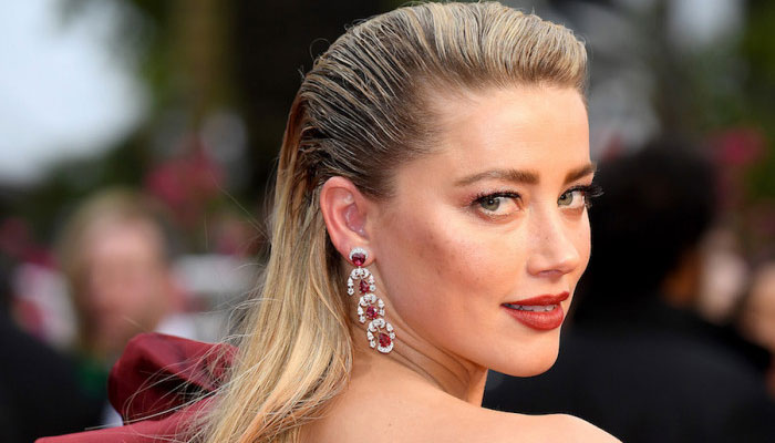 Amber Heard receives injuries after ditching serious legal charges in dog case