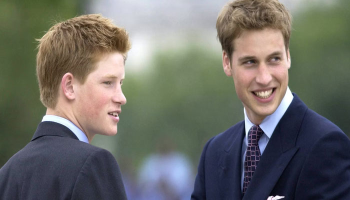 Prince William always had fun with Prince Harry back when they were bestfriends