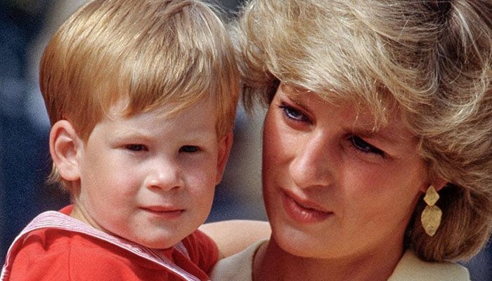 Princess Diana Secretly Wanted Prince Harry To Be King