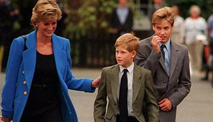 Princess Diana wanted Harry to be Prince William’s ‘wingman’