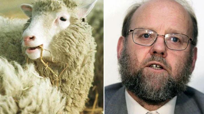 Dr Ian Wilmut, scientist who cloned Dolly the sheep, dead at 79