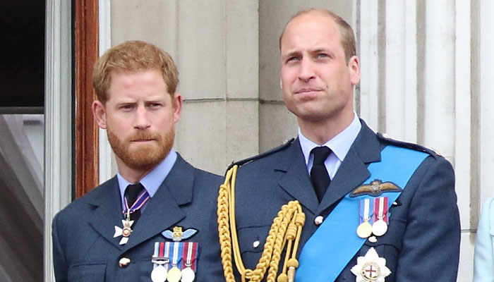 Prince William commands ‘much higher level of respect’ than Prince Harry