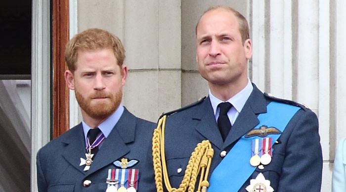 Prince William commands ‘much higher level of respect’ than Prince Harry