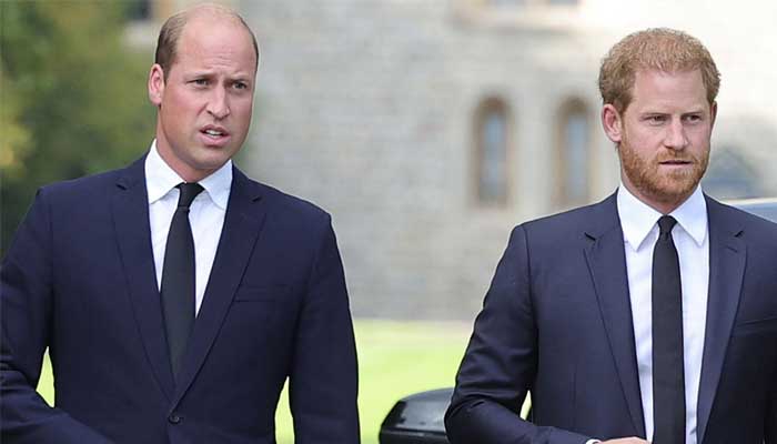 Prince William mentions Prince Harry's birthday