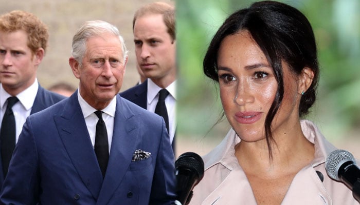 Meghan Markle 'calculated' her 'vicious' actions to create Prince Harry ...