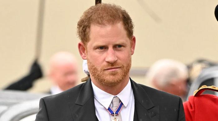Prince Harry’s life of ‘absurd privilege’