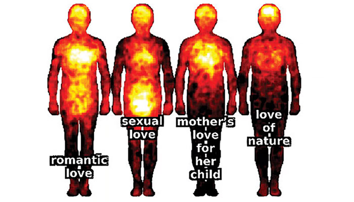 This is an illustration of the love chart the participants used. — News Atlas/File