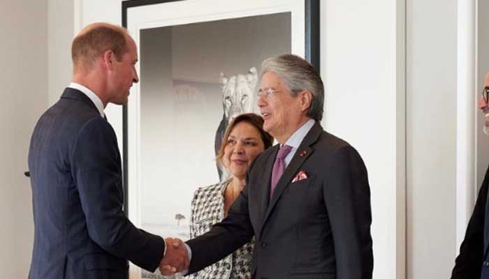 Prince William sidelined by UK government in UN