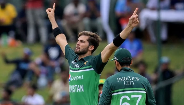 Shaheen Shah Afridi celebrates during a game. — AFP/File