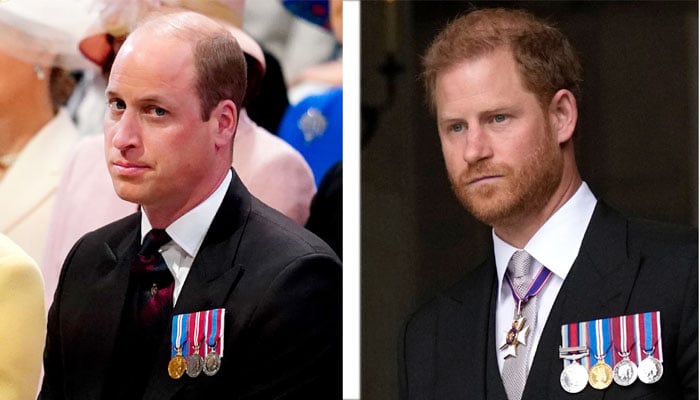 Prince Harry’s ‘gnashing teeth’ in as Prince William refuses to let ‘sleeping dog bowls lie’