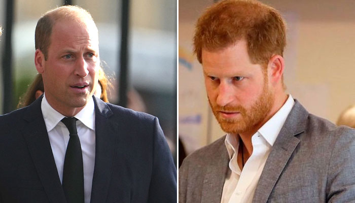 Prince William’s ‘plotting’ plans while Prince Harry ‘can’t even use Excel’