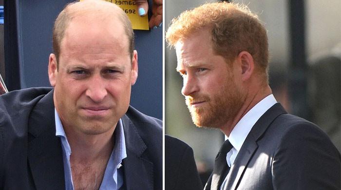 Prince William’s being ‘sold’ better than Prince Harry