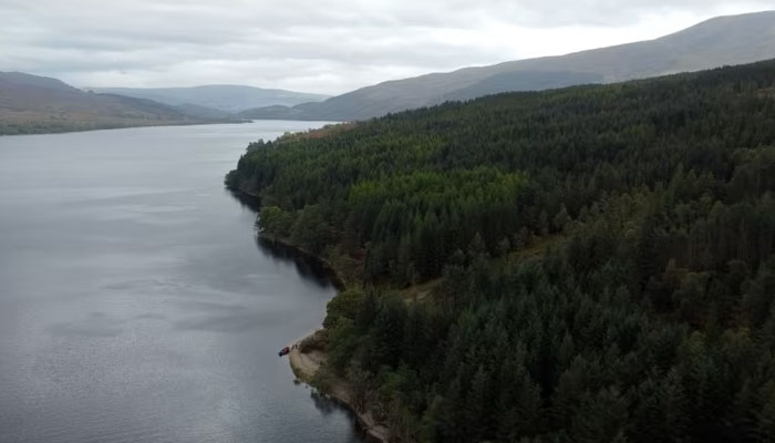 Much of Scotlands Caledonian Forest is no longer covered by native pine trees. ITV News