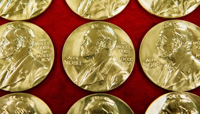 The Nobel selection committees, according to the rules laid down by founder Alfred Nobel in 1895, can only honour up to three people per prize.—AFP