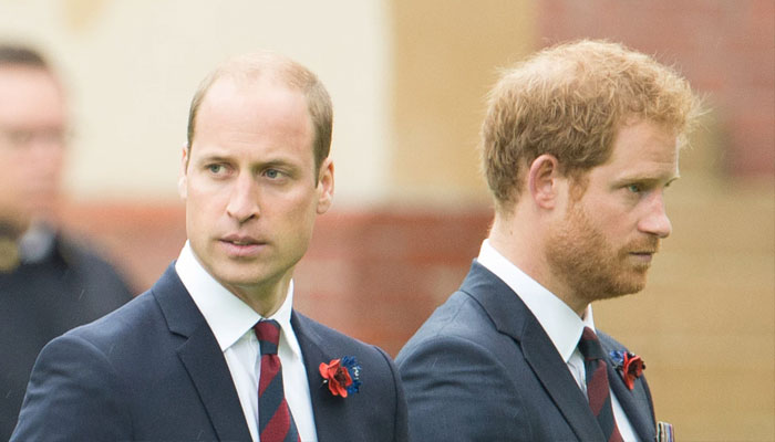 ‘Tanked’ Prince Harry is still being protected ‘proactively’