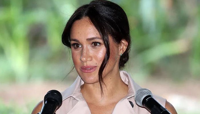 Meghan Markle could make or break her career with upcoming memoir