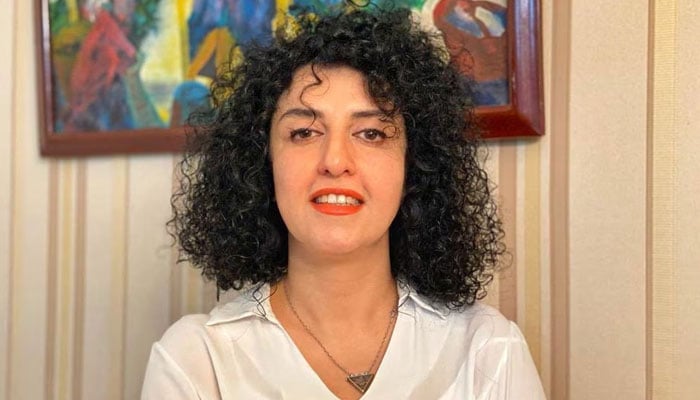 Iranian human rights activist and the vice president of the Defenders of Human Rights Center (DHRC) Narges Mohammadi poses in this undated handout picture. — Reuters/File