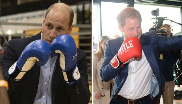 Prince William vs. Prince Harry: Who would win a boxing fight? AI answers