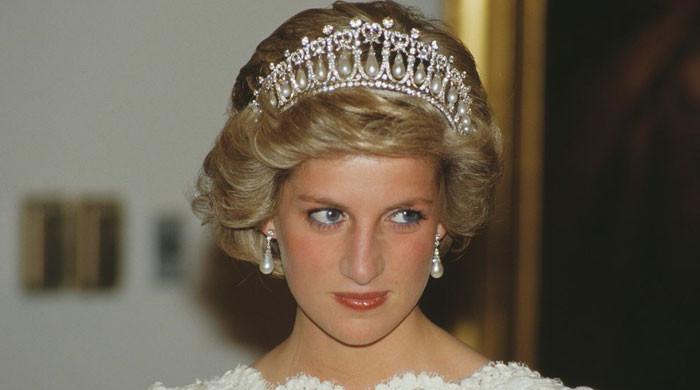 Princess Diana died due to 'minor injury' in 'wrong place,' says doctor