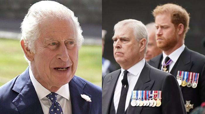 Real reason why King Charles chose Prince Andrew over Prince Harry