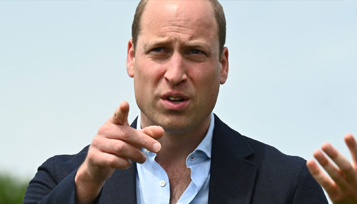 Prince William’s ‘very well-bred head’ refuses to work on anything