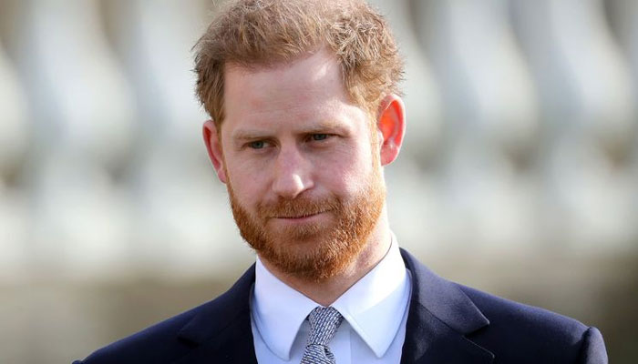 Prince Harry’s ideas so far have been ‘laughable’