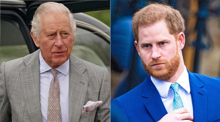 Prince Harry needs ‘all the luck’ revealing King Charles media corruption