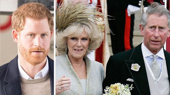 King Charles choosing Camilla after being hit 'over the head' by Prince ...