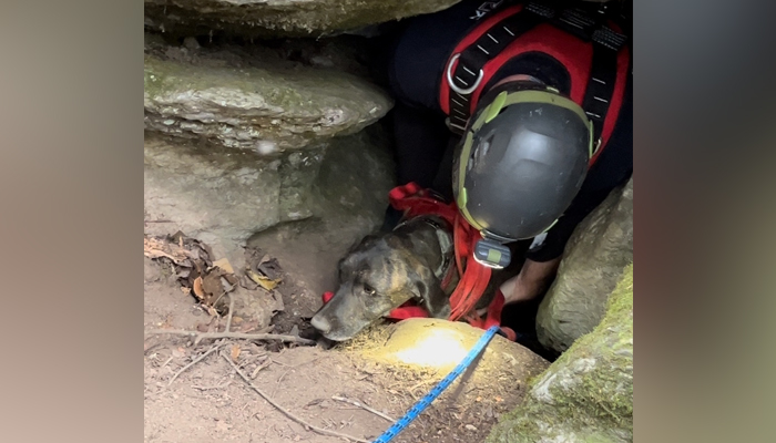 A rescuer can be seen photographed with the dog as he tries to pull him out of a cave in Tennessee in this picture released on October 12, 2023. — Facebook/Waldens Creek Volunteer Fire Department