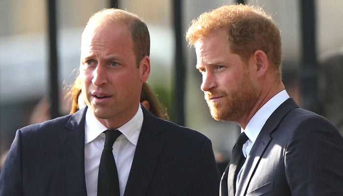 Prince William sparks new war with Prince Harry