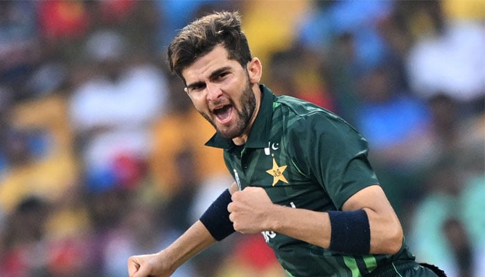 Pakistan´s Shaheen Shah Afridi celebrates after taking the wicket of Australia´s Marcus Stoinis during the 2023 ICC Men´s Cricket World Cup between Australia and Pakistan at the M. Chinnaswamy Stadium in Bengaluru on October 20, 2023. — AFP