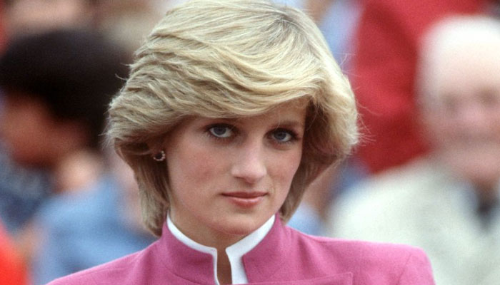 Princess Diana reincarnated as four year old boy in shocking confession