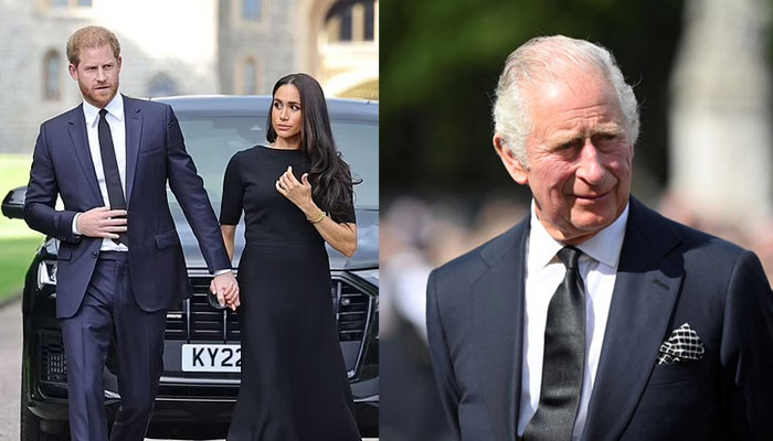 King Charles sincere feelings for Meghan Markle, Prince Harry revealed